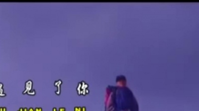 央金兰泽 - 遇见了你