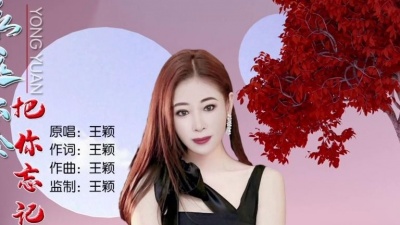 王颖 - 永远不会把你忘记