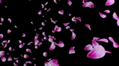 Bastille、Rationale、James Arthur、Other People's Heartache - Flowers