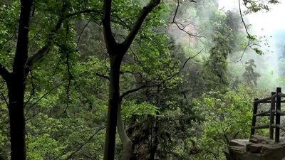 梦蝴蝶 - 砍柴过岭又过坡