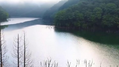 格格广场舞 - 山谷里的思念
