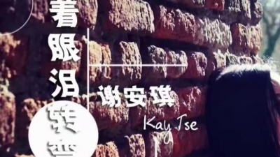 谢安琪 - 跟着眼泪转弯 歌词版