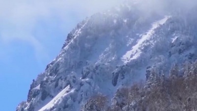 张玲 - 雪花飞