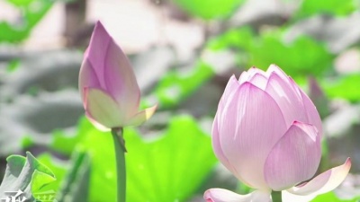 王峰 - 出了家忘了她