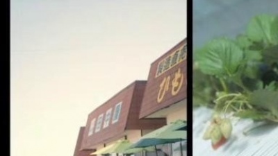 妄想キャリブレーション - 旅は君連れ世は情け