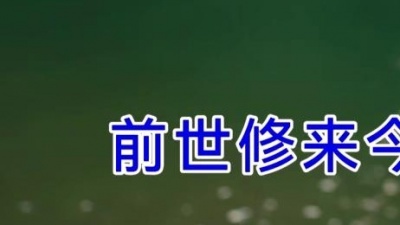 临梦齐 - 三生缘