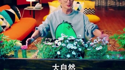 让疲惫身心休个假 - 《爱情公寓5》爱情公寓里的那些名场面