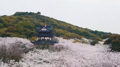 徐琨 - 问候你朋友