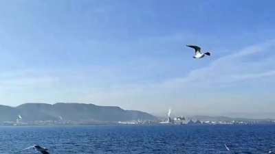南海mzw - 海浪泪痕
