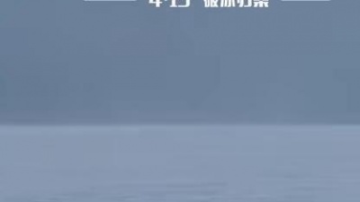 魏晨 - 破绽