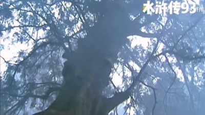 阿斗归来了 - #水浒传 #中华文化 #梁山好汉 #病关索杨雄 #拼命三郎石秀 #鼓上蚤时迁 ，上梁山……