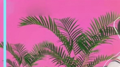 XL组合 - 使劲爱