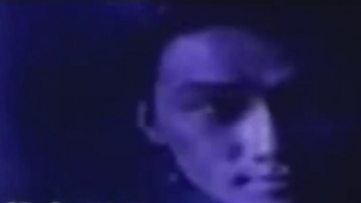潘美辰 - 黄昏