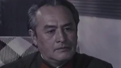 叶佩英 - 我爱你中国
