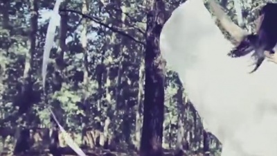 牛奶咖啡 - 去寻找