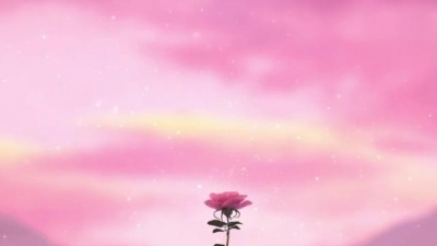 MitiS - Bloom
