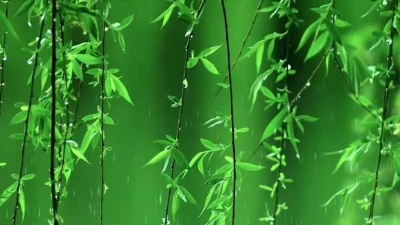 王平 - 花儿美女