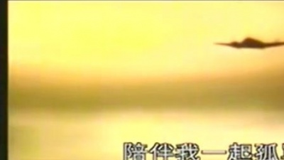 tae - 护照
