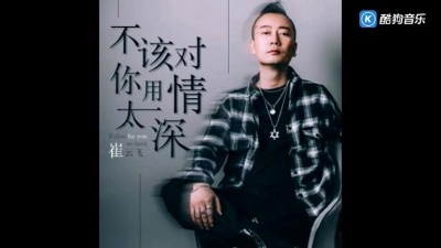 崔云飞 - 不该对你用情太深