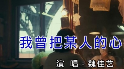 魏佳艺 - 我曾把某人的心揉碎
