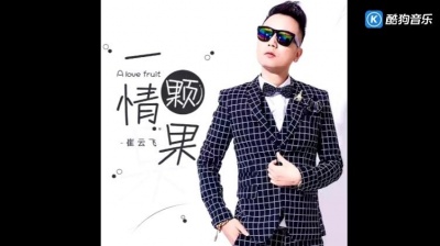 崔云飞 - 一颗情果