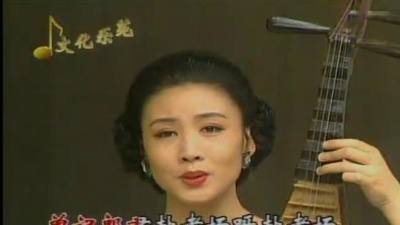 韩再芬 - 琵琶词