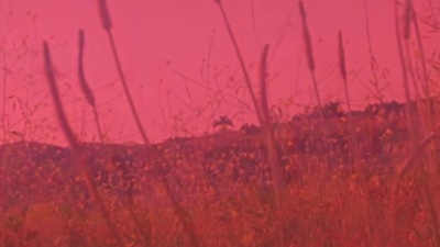Calvin Harris、A-Trak、Travis Scott - Prayers Up (Audio) (Audio) (Audio)