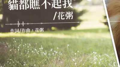 金山二姐 - 花粥演唱《猫都瞧不起我》官方动态歌词MV，好可爱的小猫咪！