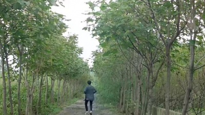 多情流星 - 辛苦了老公