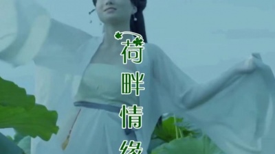 杨瑞 - 荷畔情缘