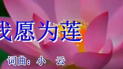 何秋苹 - 我愿为莲