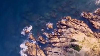 谭水明 - 孤独不寂寞