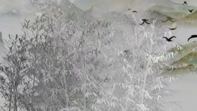 圈9 - 懵懂