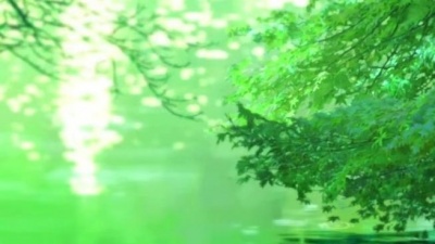 橙翼 - 假我烟景
