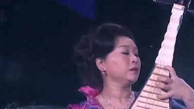 红豆音乐 - 琵琶名曲《平沙落雁》，杨靖精彩演奏，天籁之音！
