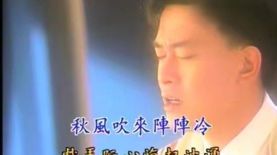 王识贤 - 伤情 (KTV版)