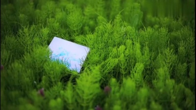 Hideyuki Hashimoto - Earth