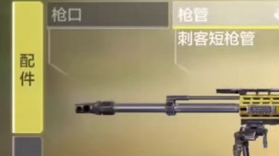 香香茉莉花 - 【使命召唤手游】狙击枪现状，Aretic50梦回S1？？？