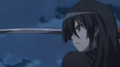 山谷居士 - 【斩！赤红之瞳】我等团员，乃职业杀手团！