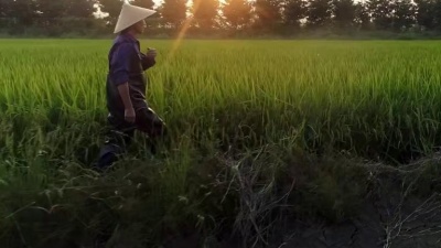段奥娟 - Scarborough Fair