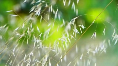 白宁 - 天在下雨我在想你
