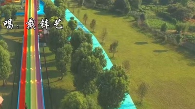 戴锌艺 - 心意