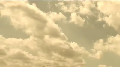 冯博 - Beautiful Life