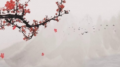 锦零 - 石楠小札（Cover 贰婶）