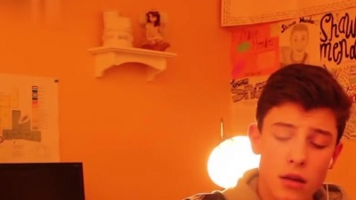 Shawn Mendes - Say Something