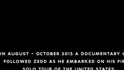 Zedd、Hayley Williams of Paramore - Stay The Night