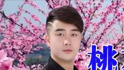 景一文 - 桃花朵朵