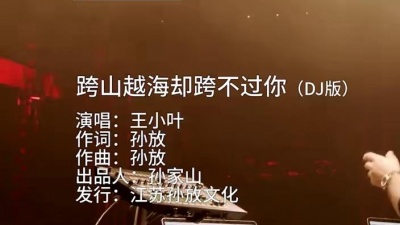 王小叶 - 跨山越海却跨不过你（DJ版）