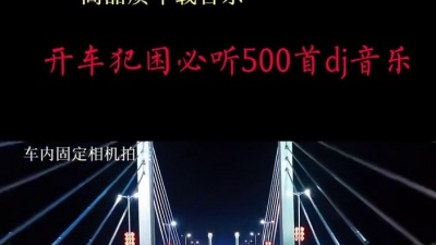 华亮Gova - 电子琴DJ你怎么说#电子琴音乐