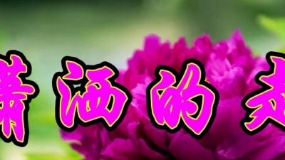 青宝 - 张小英演唱经典情歌《潇洒的走》旋律优美，醉人心扉